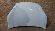 Motorhaube FIAT DOBLO MPV (263_) 1.3 D Multijet K89258T