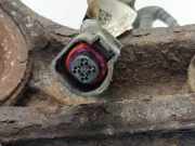 Achsschenkel (ABS) rechts vorne VW Touareg II (7P) 7P6407246A