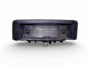 Kennzeichenleuchte Renault Trafic II Kasten (FL) 8200434687