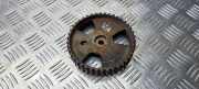 Zahnrad für Nockenwelle Citroen Berlingo I Kasten (M)