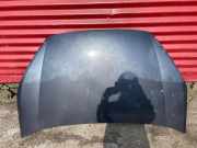 Motorhaube Ford Galaxy (CK)