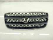 Vorderer oberer Gitter HYUNDAI SANTA FÉ II (CM) 2.2 CRDi GLS