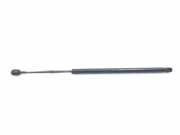 Heckklappe Gasdruckfeder links TOYOTA COROLLA Verso (ZER_, ZZE12_, R1_) 2.2 D-4D (AUR10_) 689600F012 689600F011