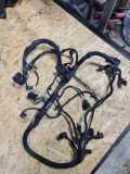 Motor Kabelbaum BMW 7 (G11, G12) 730 d 8571103