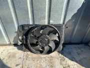 Kühlerlüfter MERCEDES-BENZ C (W204) C 250 CDI (204.003) A2049066802