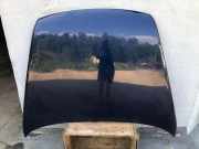 Motorhaube VW TOUAREG (7LA, 7L6, 7L7) 2.5 R5 TDI 7L6823155D