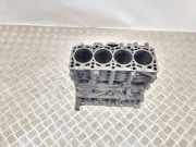 Motorblock AUDI A3 Cabrio (8P7) 2.0 TDI 03G021AC