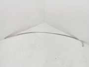 Dachleiste links RENAULT LAGUNA III (BT0/1) 2.0 dCi (BT0M, BT0N, BT19) 738510003R