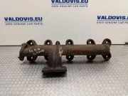 Auspuffkrümmer Fiat Ducato Kasten (250) 504151009