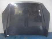 Motorhaube Fiat Croma (194)