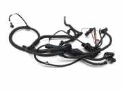 Kabel Motor BMW X3 (F25) 7594992