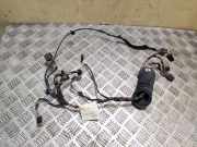 Kabel Tür VW Crafter 30-50 Fahrgestell (2F) A9060005999