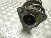 Federsatz Renault Zoe (BFM) 543024644R