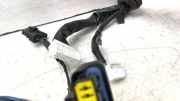 Kabel Tür Nissan Pathfinder III (R51) 24124EB302