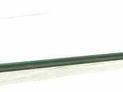 Türscheibe links hinten Audi A6 (4F, C6) M2121