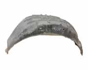Radhaus links hinten Ford C-Max II (DXA)
