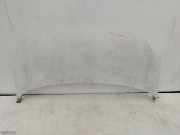 Motorhaube Renault Kangoo II Rapid (FW0) 8200387C62