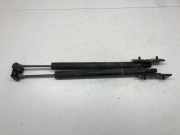 Türanschlag hinten links BMW 7 (F01, F02) 740 d 7177648