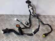 Türverkabelung hinten rechts INFINITI EX 30d 241261BL0A