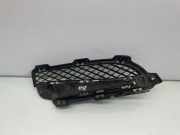 Gitter vorne unten JAGUAR XF (X250) 2.2 D CX2315K232b