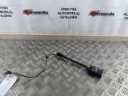 Gurtschloss Ford EcoSport () CN15B61209EEW
