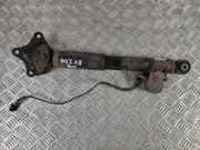 Stoßdämpfer hinten links LEXUS RX (_L2_) 450h AWD 4854048392