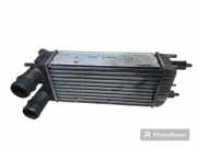 Ladeluftkühler Peugeot 508 I () P9684946380