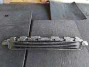 Gitter vorne unten CITROËN JUMPY 2.0 BlueHDi 180 9811710277