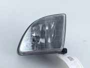 Nebelscheinwerfer links