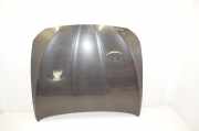 Motorhaube BMW 5er Touring (F11)