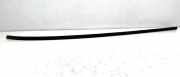 Dachleiste links SUZUKI VITARA (LY) 1.6 (APK 416) PJU0119L