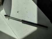 Heckklappe Gasdruckfeder links VW GOLF PLUS (5M1, 521) 1.9 TDI 5M0827550 5M0827550A