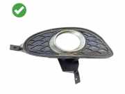 Blende Nebelscheinwerfer Mercedes-Benz CLS (C219) A2198850623KZ
