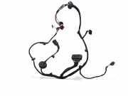 Türverkabelung hinten links VW PASSAT B5 (3B3) 1.9 TDI 191972704