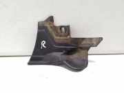 Abdeckkappe Scheinwerferwaschanlage rechts NISSAN PATHFINDER III (R51) 2.5 dCi 4WD 66894EB300