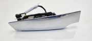 Heckklappengriff Ford EcoSport () DN1T14A411BA