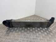 Ladeluftkühler Renault Grand Scenic III (JZ) 144969568R