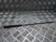 Antenne VW CADDY III Furgon (2KA, 2KH, 2CA, 2CH) 1.6 TDI