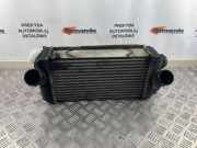Ladeluftkühler Kia Sorento II (XM) 282702F600