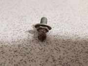 Schrauben BMW 7 (E65, E66, E67) 730 d 51247010221