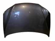 Motorhaube HYUNDAI SANTA FÉ II (CM) 2.2 CRDi