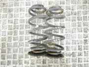 Schraubenfeder hinten links