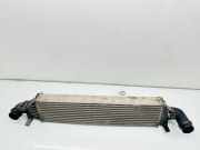 Ladeluftkühler MERCEDES-BENZ B (W246, W242) B 200 (246.243) A2465000100