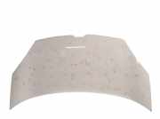 Motorhaube Renault Kangoo II Rapid (FW0) 651223802R