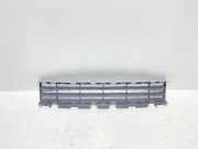 Gitter vorne unten RENAULT MEGANE II (BM0/1_, CM0/1_) 1.4 16V 8200114155