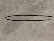 Dachreling links MERCEDES-BENZ C (W204) C 200 Kompressor (204.041)