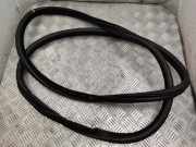 Türgummi rechts hinten BMW 5er (F10) 7182288