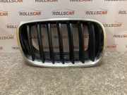 Vorderer oberer Gitter BMW X5 (E70) xDrive 30 d 51137171396