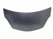 Motorhaube NISSAN PIXO (UA0) 1.0
