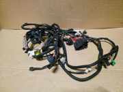 Motor Kabelbaum RENAULT CLIO III (BR0/1, CR0/1) 1.5 dCi (BR17, CR17) 403886041R